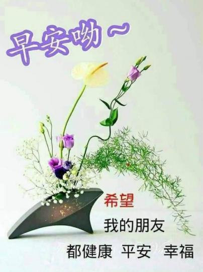 CC958C7E-8699-4242-8FC2-00BF0A0B6E63-10146-0000065E5E42B08F