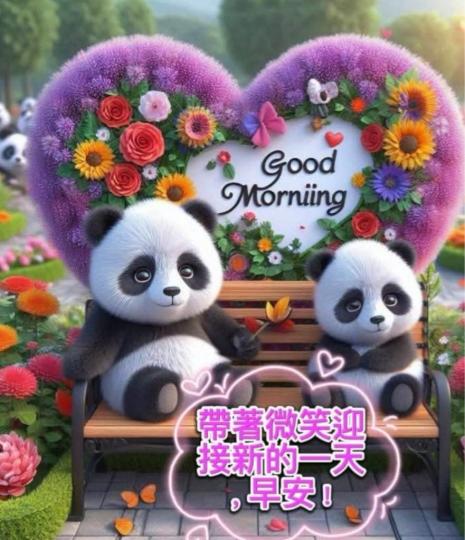CCC4E040-E190-47F4-9CA4-F62687E4CEC3-65041-000019D45BADBD4A