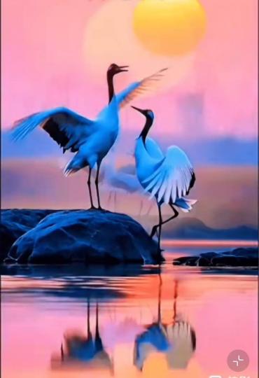 CE39C583-B936-40F8-BE99-0A2F992EF5F7-38342-000003A63E2869DD