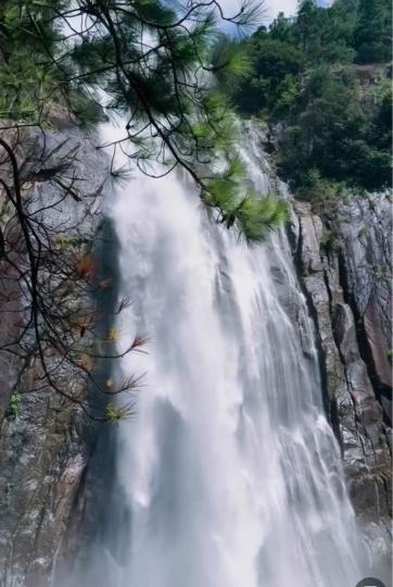 CF6F0ABF-6CCA-436F-A919-889DD765078A-27166-000002C75C32F305