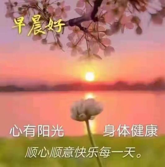 CFFAD4AB-6D49-483A-8BB7-AEBCA66967F8-10969-0000013FB9EEB38E