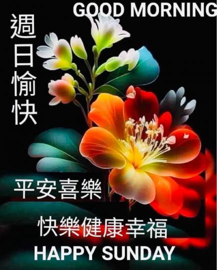 D0990442-3589-4857-A390-D2979042CB6B-26100-000003E3C57649FE