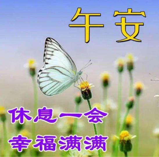 D1181720-8ED1-4F5D-B866-EC096E4DE195-8694-0000012819B733FE