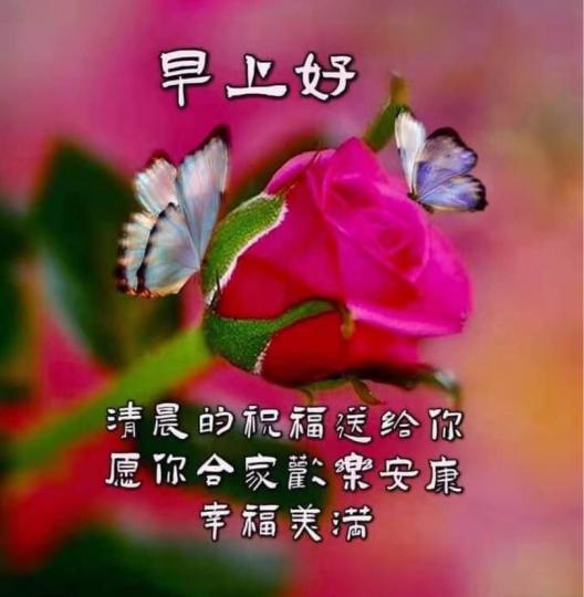 D1590BDF-BE7C-43A8-AA32-05B328260A4D-8580-000000F00F8BEA31