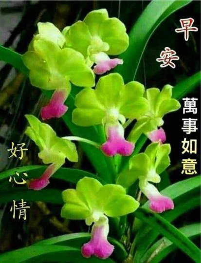 D16583D0-919F-4ECD-8BBE-7A37D53FA221-8033-0000051A533DE8C4