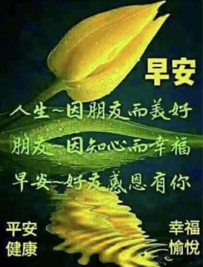 D1DADAAC-9C22-42A5-B2C9-6E14D16B128E-2446-000000453F9281F5
