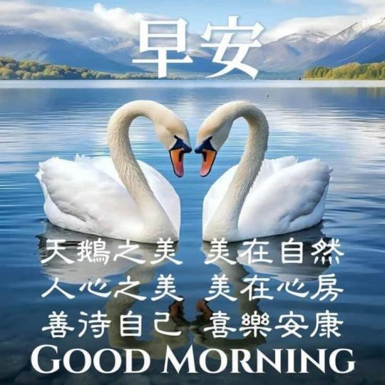 D2CDE8B0-DE96-4A64-A107-846BDD93946B-5283-000000E3F5D324C0
