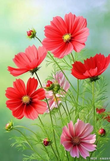 D311E107-CA3B-448E-8B55-5F2C853A5104-77256-00001F06EDFA0E25