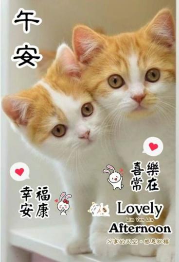 D338D408-448F-4C14-8C67-58904FFDC053-55454-00000DD375CDAB43