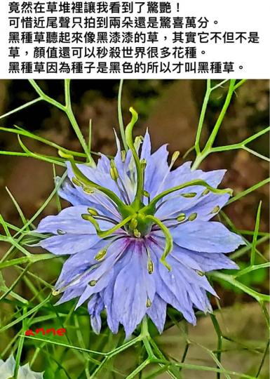 D3C642F4-B87D-4285-90EB-B2BE28C26C5F-8690-000001430ABC05D5