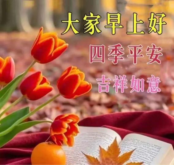D40FCBD3-2D68-4373-9AA5-E446FC8F6C97-81533-00000888FB8E3C2C