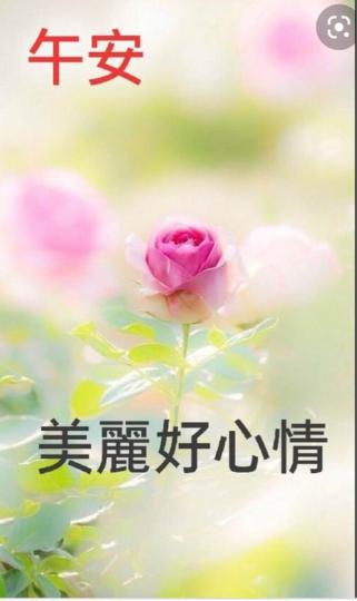 D41F9D69-4249-4103-98DD-FFB6E62BFD96-1910-000000F8D8A0A25F