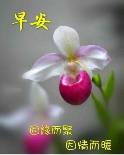 D45D79B8-DB06-44FC-9244-B41DAE9CE554-9017-0000050123931000