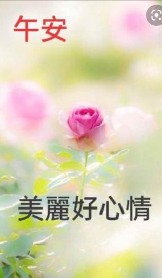 D4A0FC05-BDAC-4F67-9F21-8D49B086F4A7-36051-000006048D8BA324