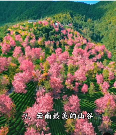 D4CD002D-C5AC-47B3-B71E-A1F256ABFB83-16735-0000018937172CF9