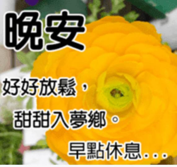 D56F62A8-80F1-42CC-9E5E-1CBEE7C168BB-5393-000002410A7E7943