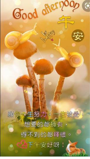 D5DD39DE-0545-48E9-A4B8-0DFD219D267E-13107-0000016A22467E50