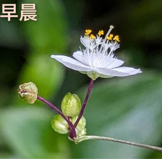 D632D12D-15F1-4C5E-9AB6-A7E68C6F6FE9-45655-00001009273C930E