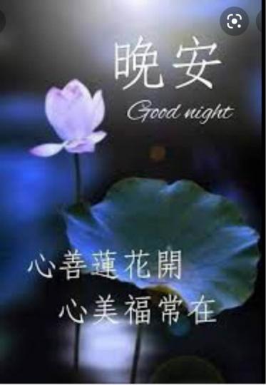 D6BB9EDE-937C-45EF-B879-DD18127944FD-9519-00000C2AE24835D0