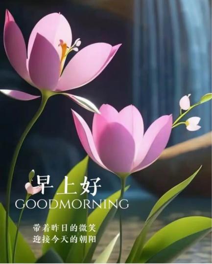 D6F26D33-56C3-4095-8460-4F9BCDF38B7B-6219-000000C89DAE8BBF