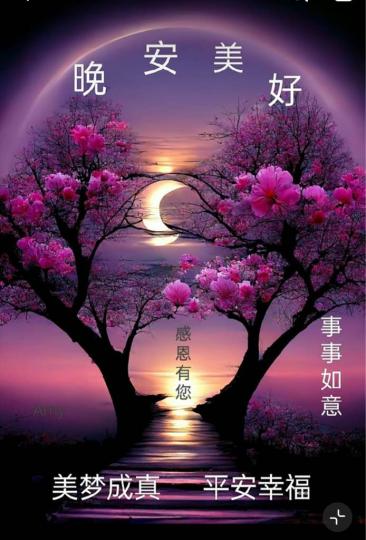 D81B43F4-C4B6-4B8E-B349-533ED28EE2F0-40114-0000045DD34D385D