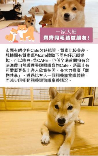 D82F1429-441F-4397-BB15-A6FDC38CC062-362-0000000333359067