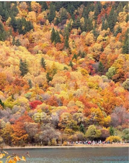 D933D141-1E30-413D-840D-C36DA7842D3C-61721-00001D3D68B3BCBB