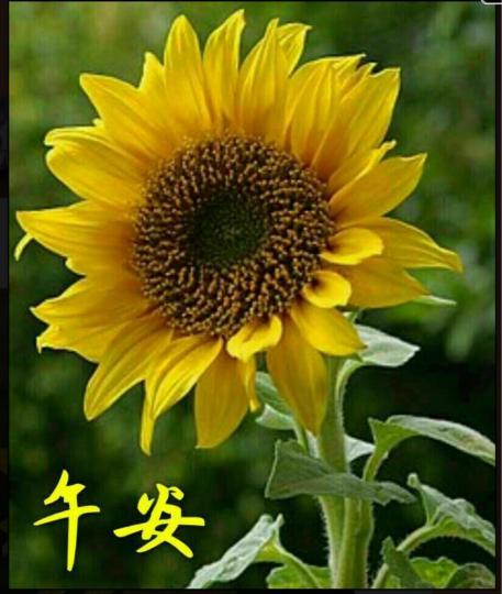 D946A2B3-528F-4049-8CE5-F1B8828A906E-2569-000001A94E632E67