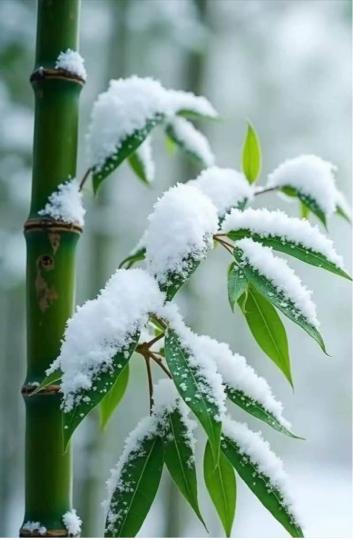 DAA73276-7642-4977-ABDE-0ECAA18620A5-53578-000004C78FAE532A