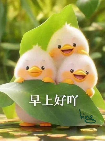 DB6236B5-2847-4EAC-A88E-19FFFE3F9F70-40208-00000CCDA339ED13