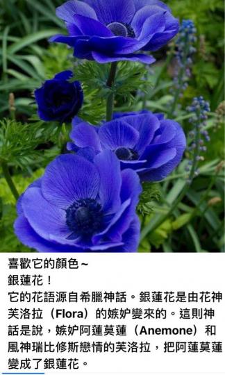 DB867E62-3F08-4DC2-9AD4-16229BE3E69C-6655-000000BD940A28A0