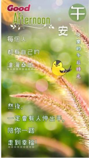 DB878795-002A-4BBD-9106-70DAA068C637-1981-00000031EB046A37