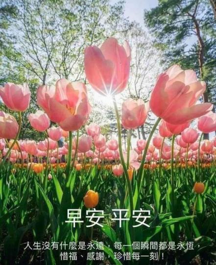 DBF4BEF7-513B-4B23-A54C-352C4981B2D7-11008-0000029D4FA5A438
