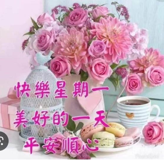 DCB33C4D-0DEC-4421-A3BD-CD06D29EC11B-7397-000000C9B778C8C2