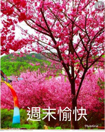 DD02190A-ACD9-42F1-AE1D-D74230756CA8-27112-000004A7930980E2