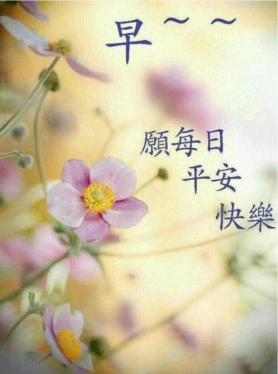 DD8F0D24-FD26-4BF8-AA1D-D9AC0246F267-1336-000000C0D9CF0126