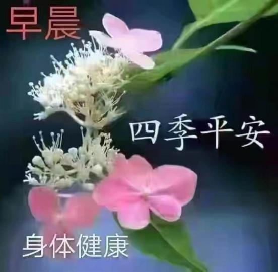 DD91771B-6316-416C-8B9A-6482F854E97F-1538-000000878BEE1C3D
