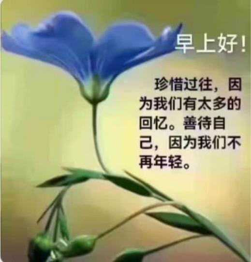 DE3F5A7F-7ABA-4E2D-B446-C2B0D89C2497-72904-000012FE9794DBD5
