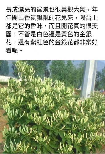 DF2681F7-08CA-406F-9B52-4DC78860EC41-47631-0000051C6FAC56FB