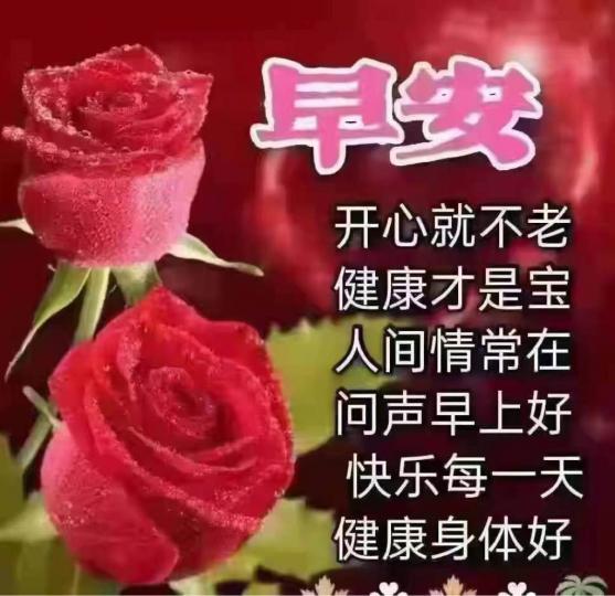 DF269BBC-65E9-439B-986B-5E892E8A42E4-39096-0000102E4AA542EA