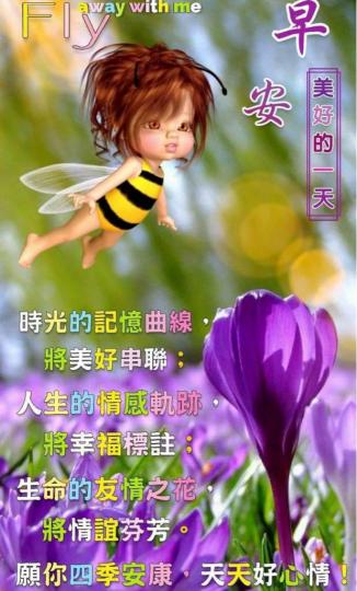 DF5E80F4-B3C6-401C-AA37-1B5802F133D9-20658-0000039B18796F86