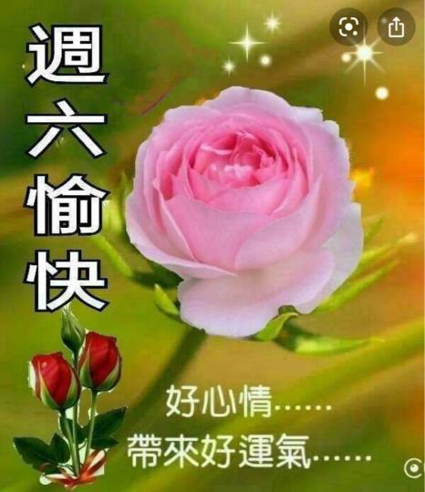 DF6FFA8F-5308-4A32-824B-6AAD4ECCE207-1809-00000095BCDB88A9