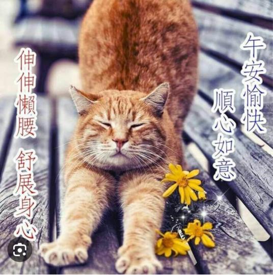 DFC1C244-46FF-47F0-B0B6-42B12A7BCB9E-12586-00000160C2B29AD4