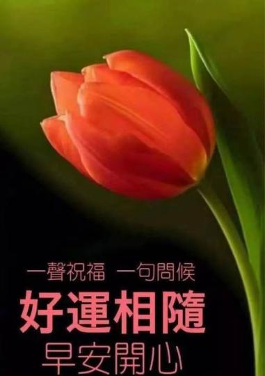 E0027941-F25C-4A8D-BA64-B5A8FB514B69-30592-000005F9BCF736B8