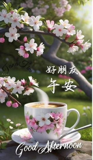 E04C8FF9-F6F9-427C-A4EE-6F55E6D22BD1-91456-00001EAE21E05E21