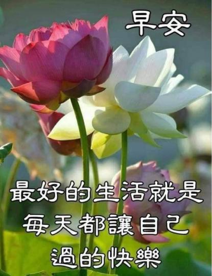 E0F5FBA3-0CF2-493B-B0F0-7A5F8D241C40-1850-00000042F21D5324