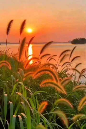 E1991BAC-D69A-41B4-A2DA-E55897B968E7-98536-000007C0633BCB20