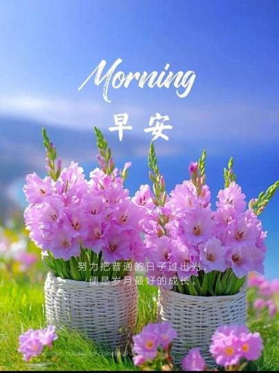 E19B37EA-FEAB-4F1C-9B85-B661296C5838-61973-00001CBDD1A26574