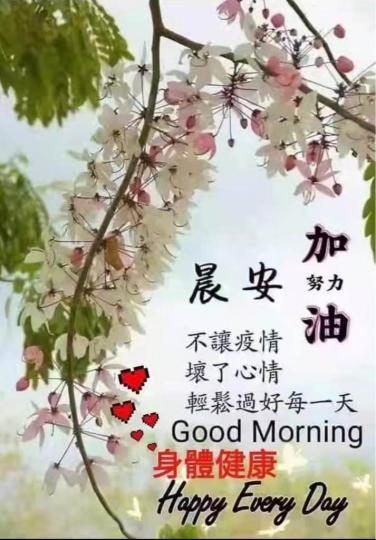 E1A0BB9D-C6BB-4475-9B1B-73364CF25715-25179-000002F428BF28D4