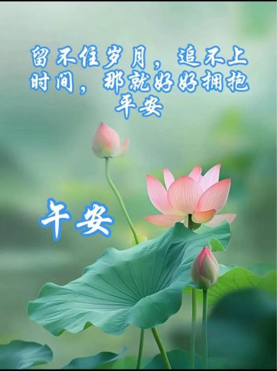 E230B19F-2314-4033-8F84-7F5B5FE92ACE-36215-000004D5C15342CE